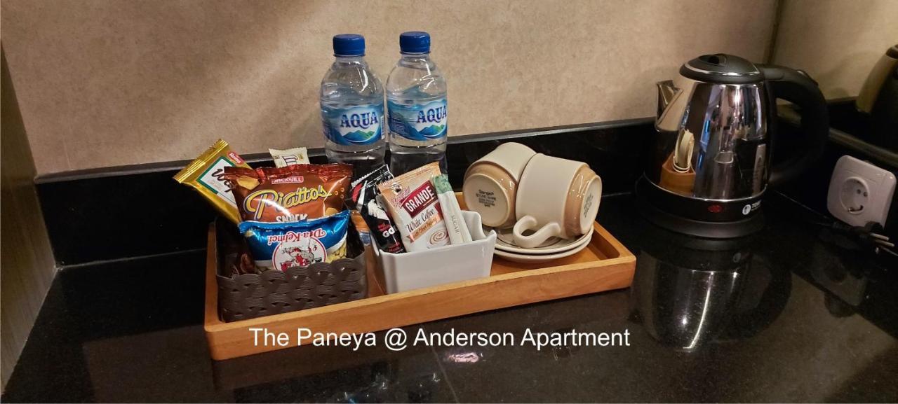 The Paneya@anderson Apartment *